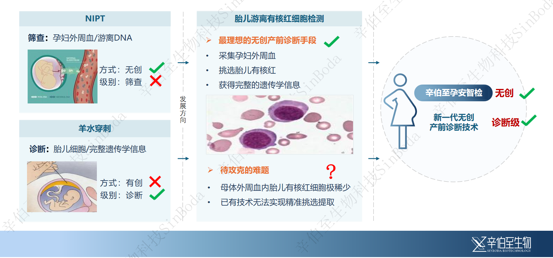 (图1)