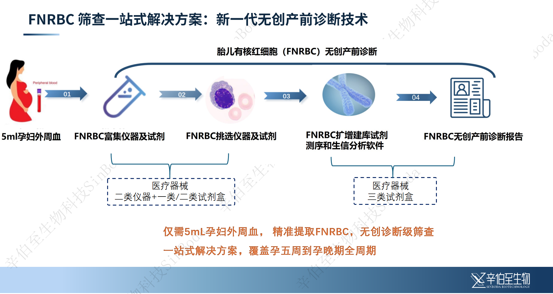 (图2)