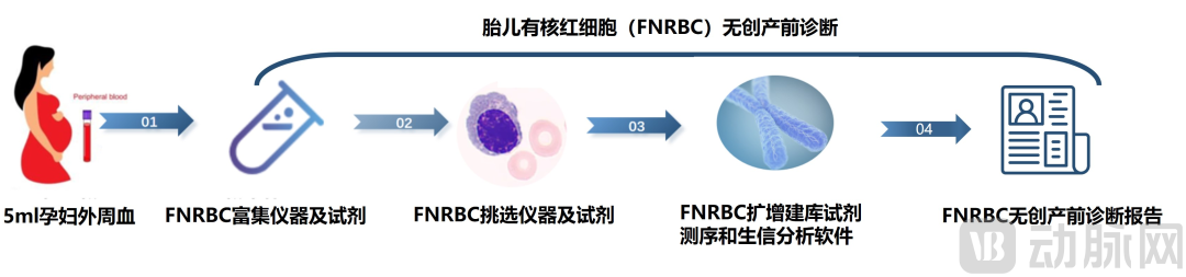 辛伯至以生命科学技术平台创新重塑微观操作与检测，引领AI大健康新范式(图3)