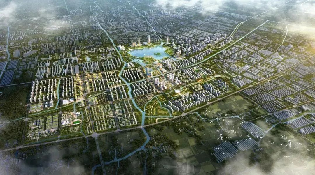 剑桥博士团队，缘何落户桐乡？(图4)